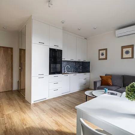 Lejlighed Salt & By 200 M Do Plazy, Ergo Arena